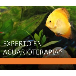 CURSO DE EXPERTO EN TERAPIA...