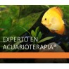 CURSO DE EXPERTO EN TERAPIA REGRESIVA ACUARIO